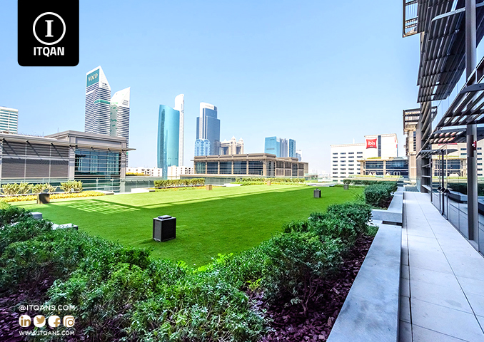 شروط تاسيس شركة بجبل علي